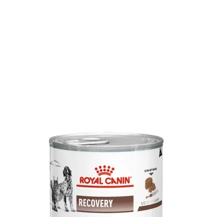 ROYAL CANIN RECOVERY MOUSE 195G