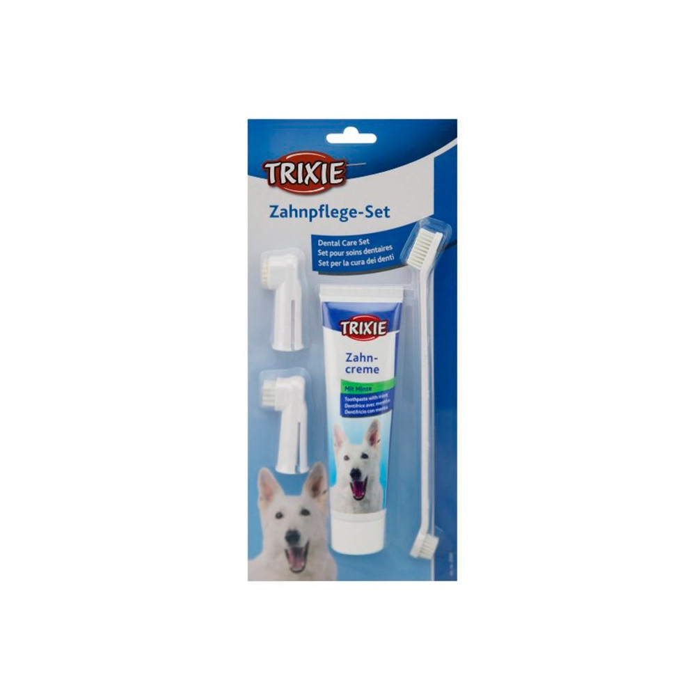 CONJ. HIGIENE DENTARIA P/CAO