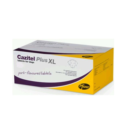 CAZITEL PLUS XL (1COMP)