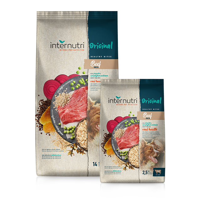 INTERNUTRI ORIGINAL DOG BEEF 14KG