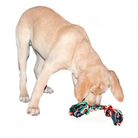 OSSO DE ALGODAO 20cm - Imagem 2