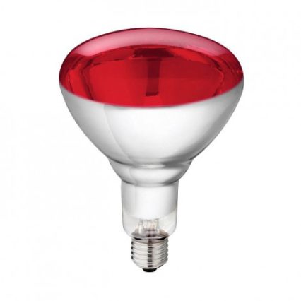 LAMPADA DE INFRA-VERMELHOS 100W