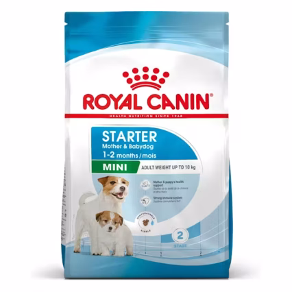ROYAL CANIN MINI STARTER M&B 1KG