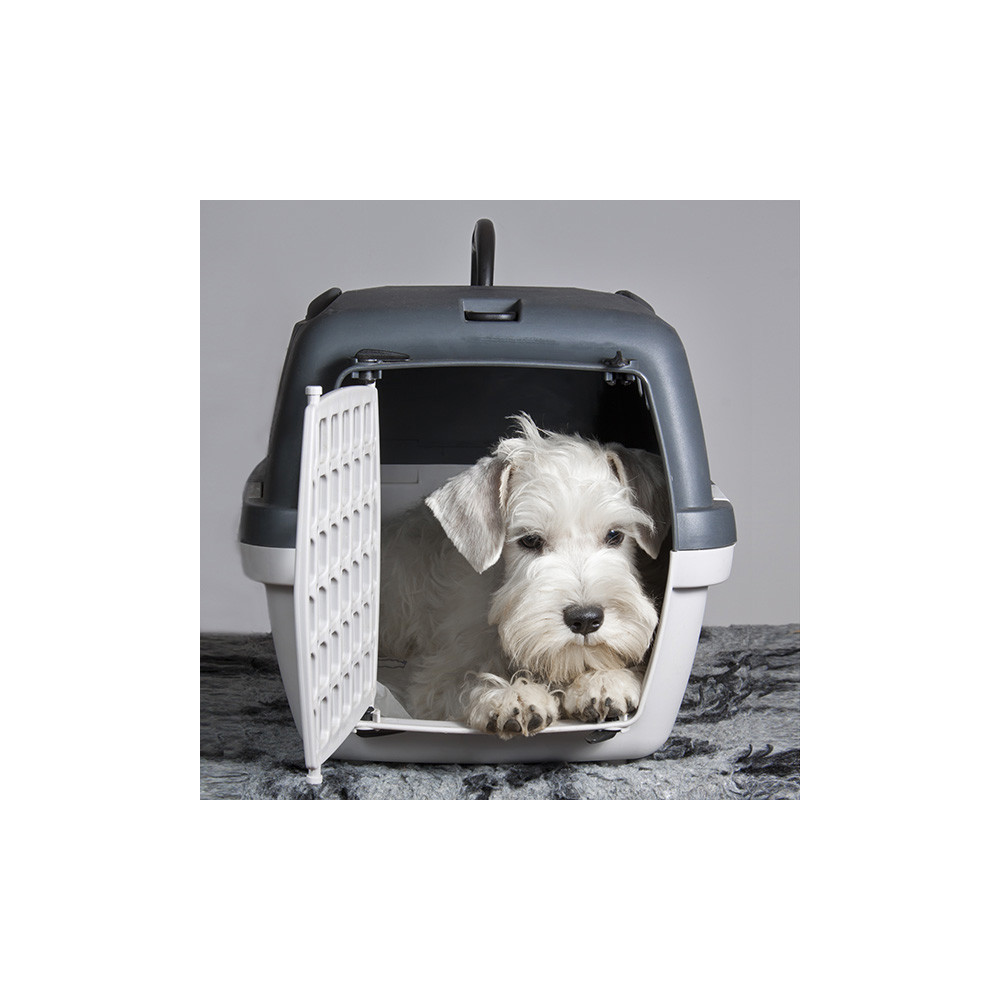 TRANSPORTADORA GULLIVER 1 48X32X31CM CINZA/BRANCA - Imagem 2