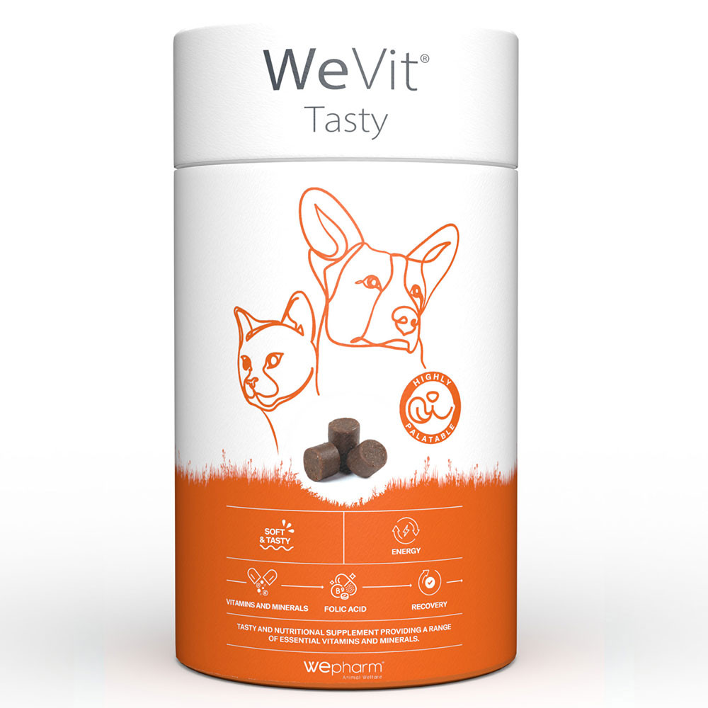WEVIT TASTY 30 CHEWS