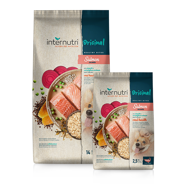 INTERNUTRI ORIGINAL DOG SALMÃO 14KG